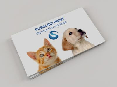 כרטיס ביקור מגנטי