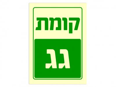 קומת גג
