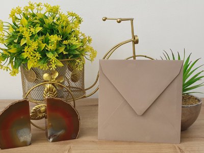 מעטפה צבעונית 83-56