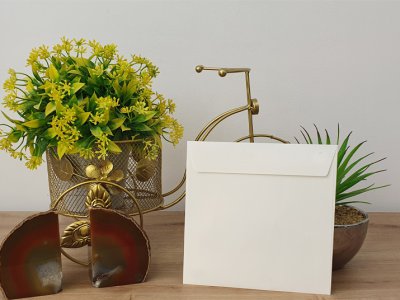 מעטפה צבעונית מגסטיק לבן