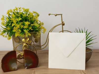 מעטפה צבעונית 83-11