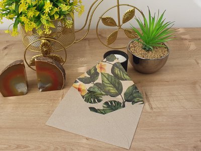 מעטפה צבעונית 90-30 japonica