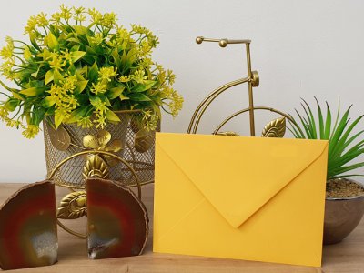 מעטפה צבעונית 83-06