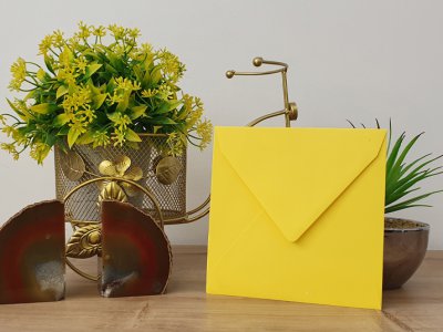 מעטפה צבעונית 83-05 limon