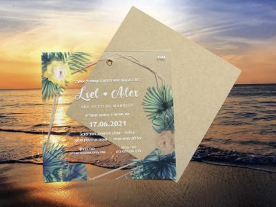 הזמנה שקופה ניט עלים ירוקים רקע קש