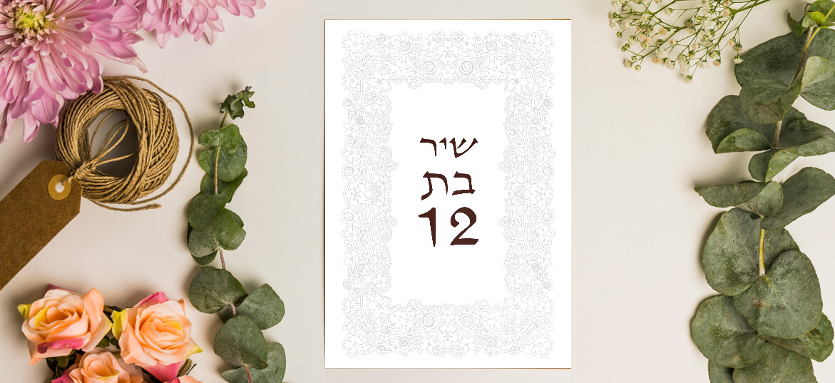 הזמנות בת מצווה – דתי 4